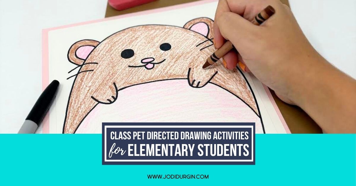 class pet directed drawing