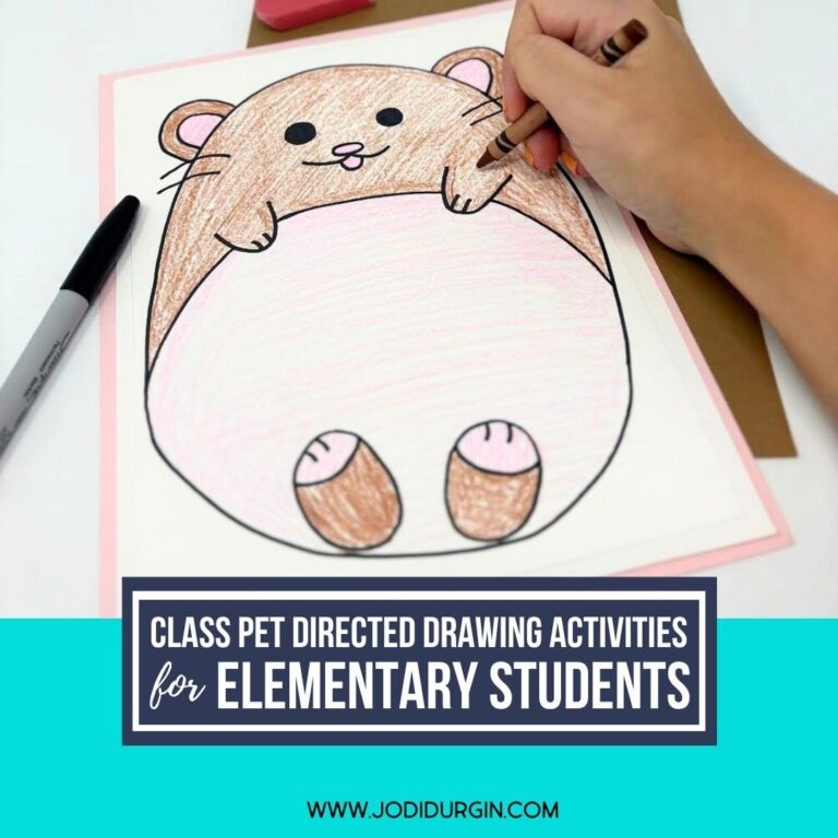 hamster directed drawing