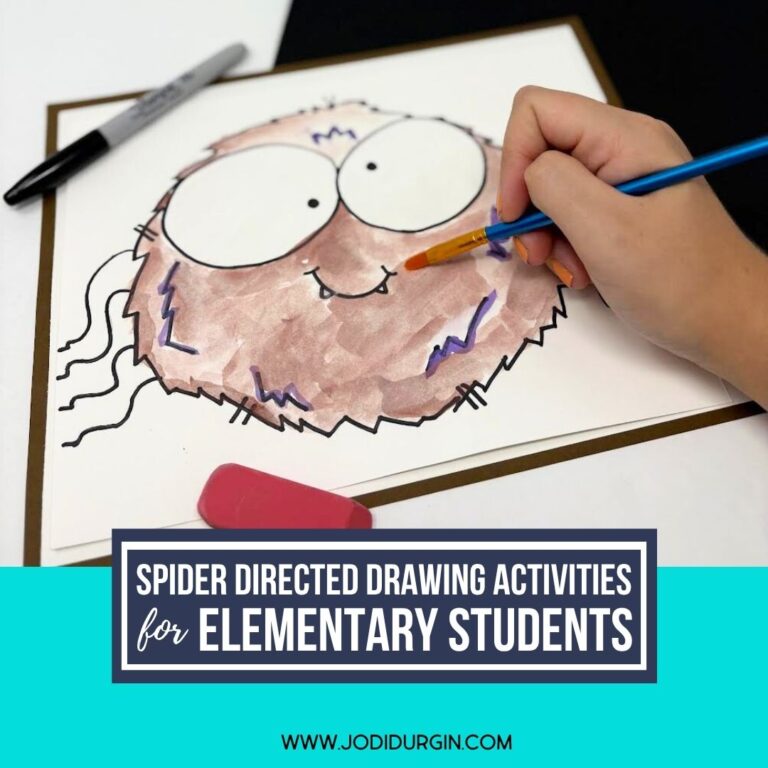 spider directed drawing