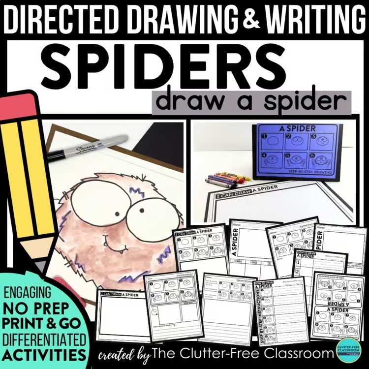 spider directed drawing activities